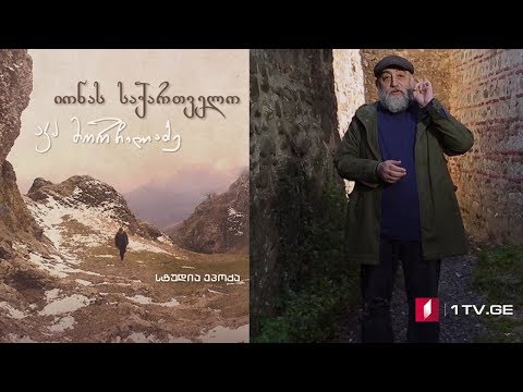 იონას საქართველო - მერვე სერია